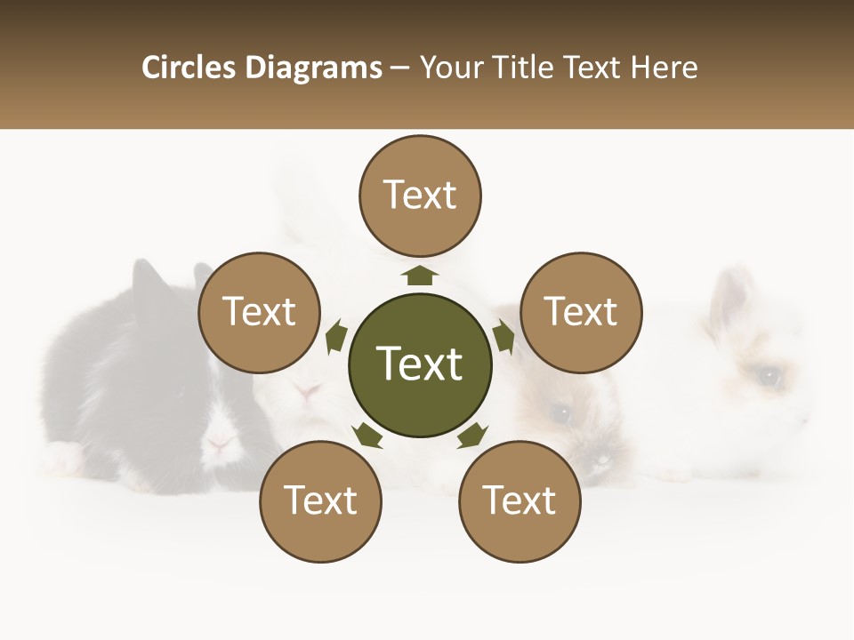 Mother Studio Agriculture PowerPoint Template