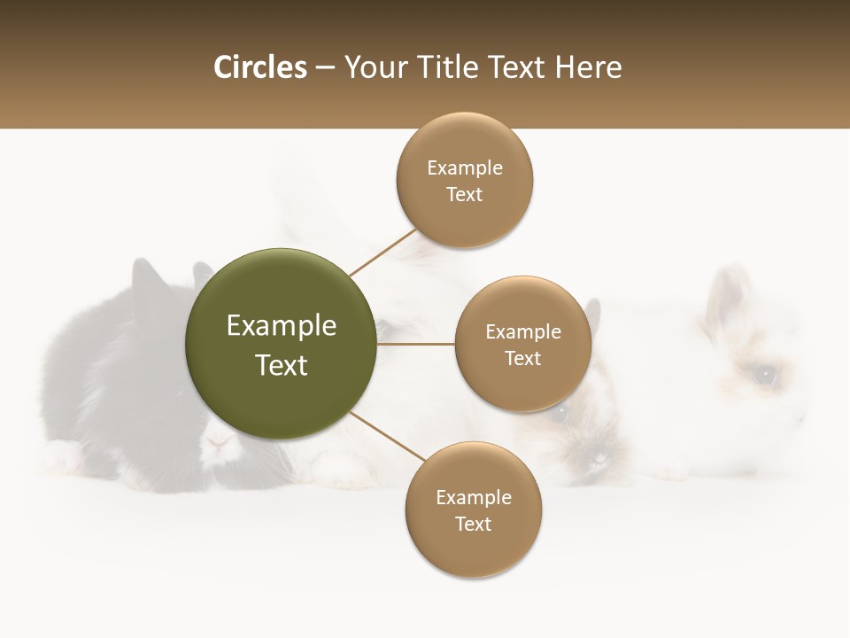 Mother Studio Agriculture PowerPoint Template
