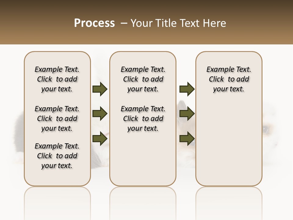 Mother Studio Agriculture PowerPoint Template
