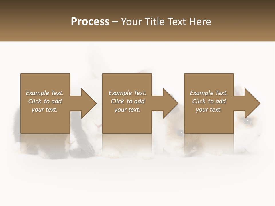 Mother Studio Agriculture PowerPoint Template