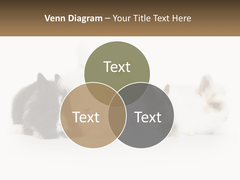 Mother Studio Agriculture PowerPoint Template