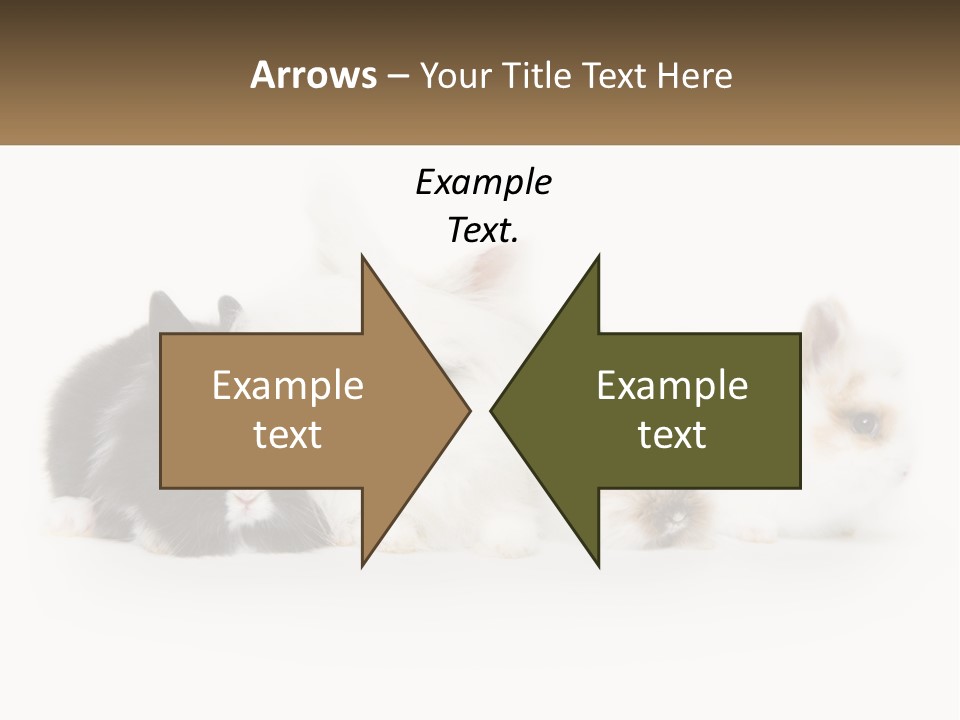 Mother Studio Agriculture PowerPoint Template