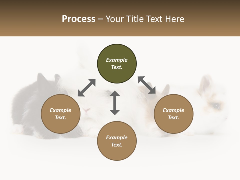 Mother Studio Agriculture PowerPoint Template