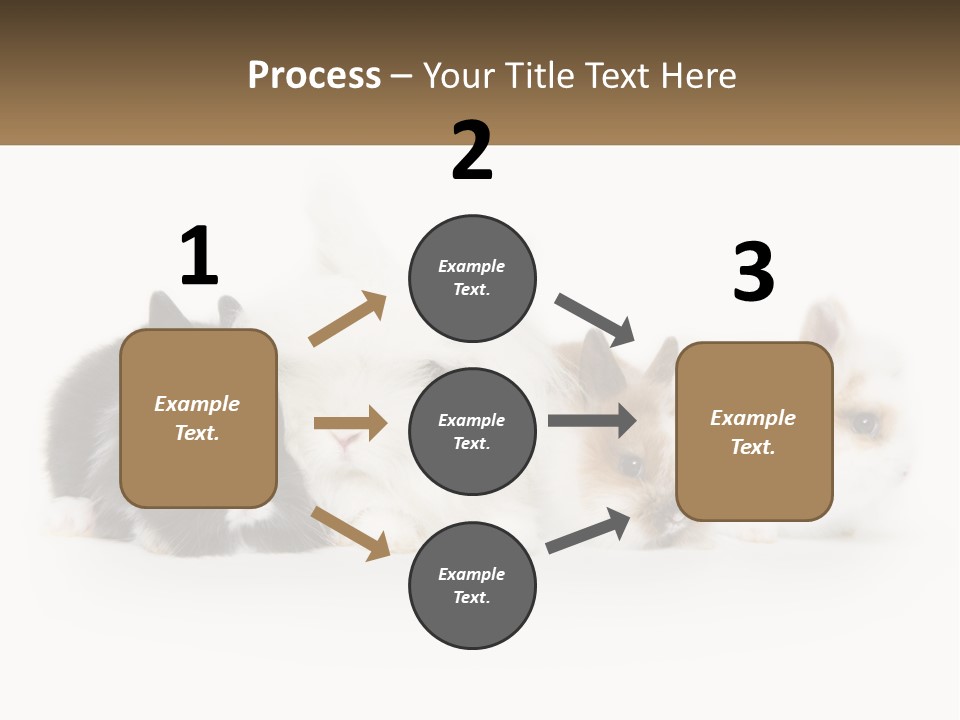 Mother Studio Agriculture PowerPoint Template