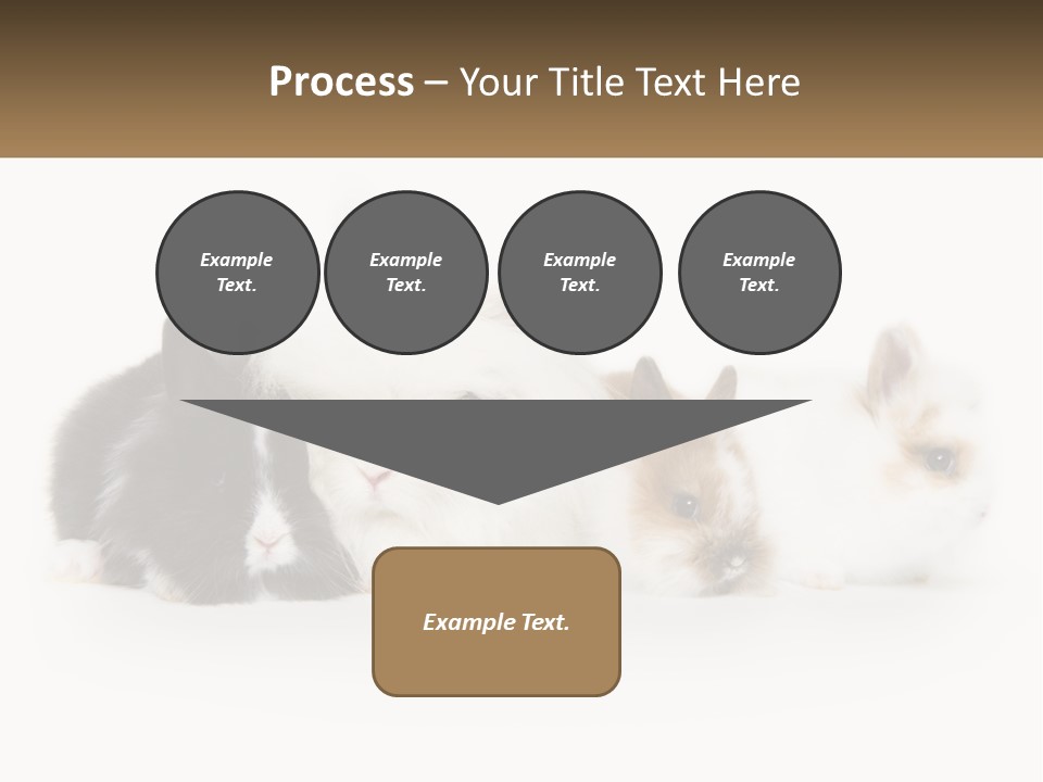 Mother Studio Agriculture PowerPoint Template