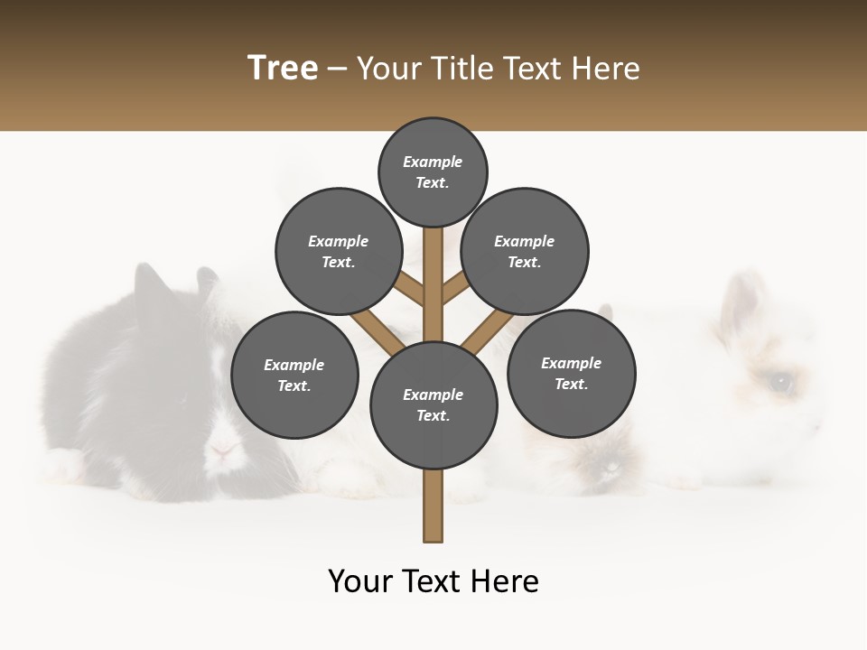 Mother Studio Agriculture PowerPoint Template