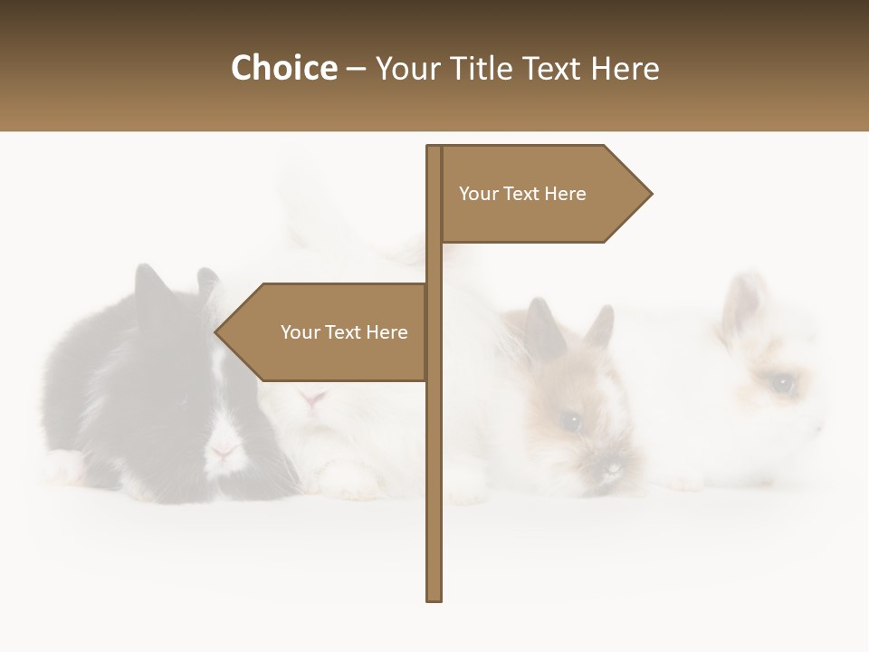 Mother Studio Agriculture PowerPoint Template