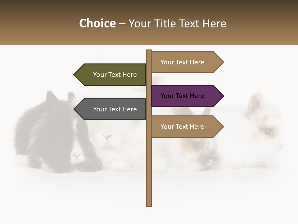 Mother Studio Agriculture PowerPoint Template