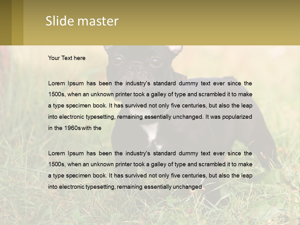 French Cute Purebred PowerPoint Template