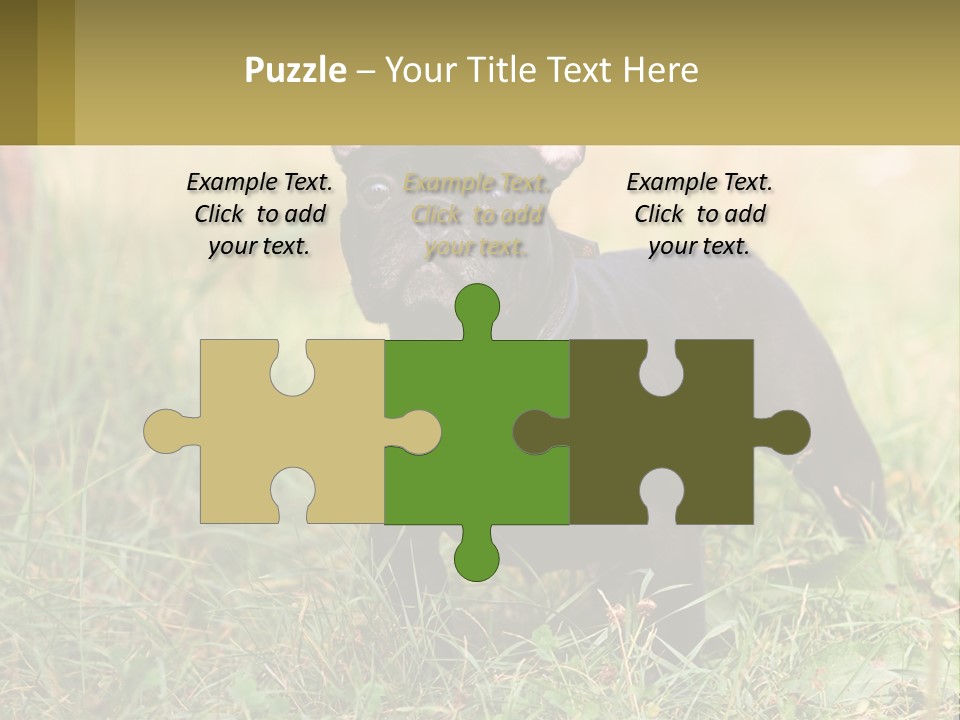 French Cute Purebred PowerPoint Template