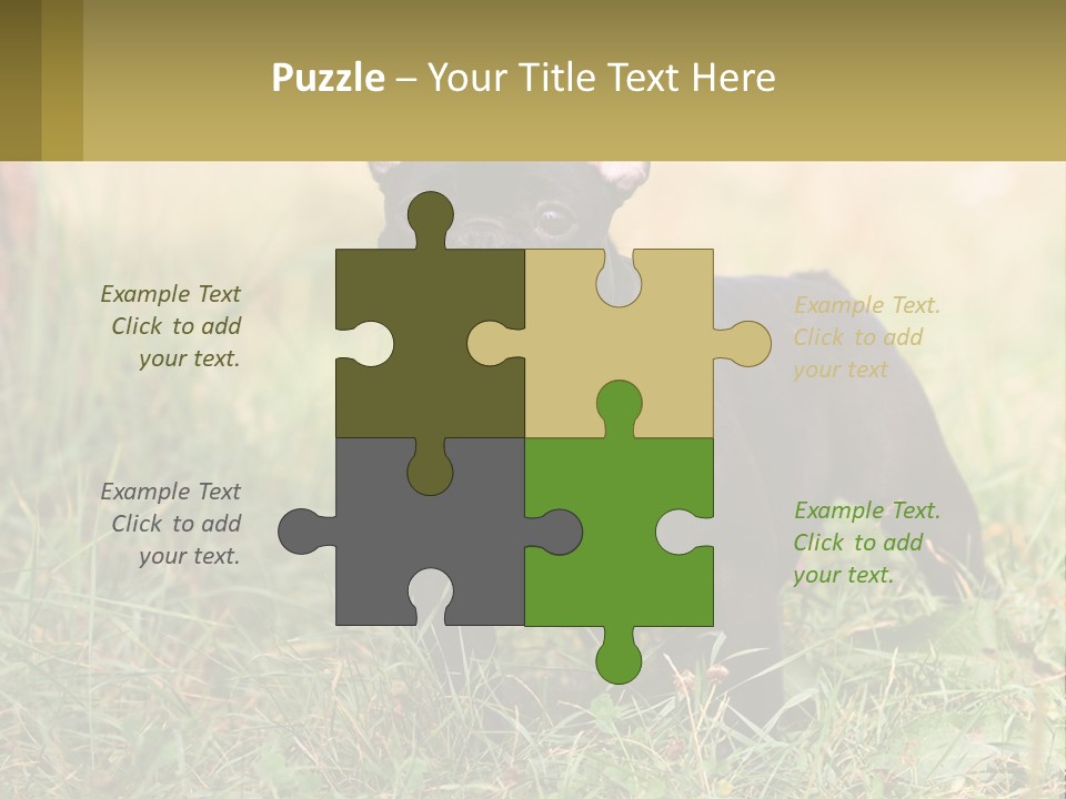 French Cute Purebred PowerPoint Template