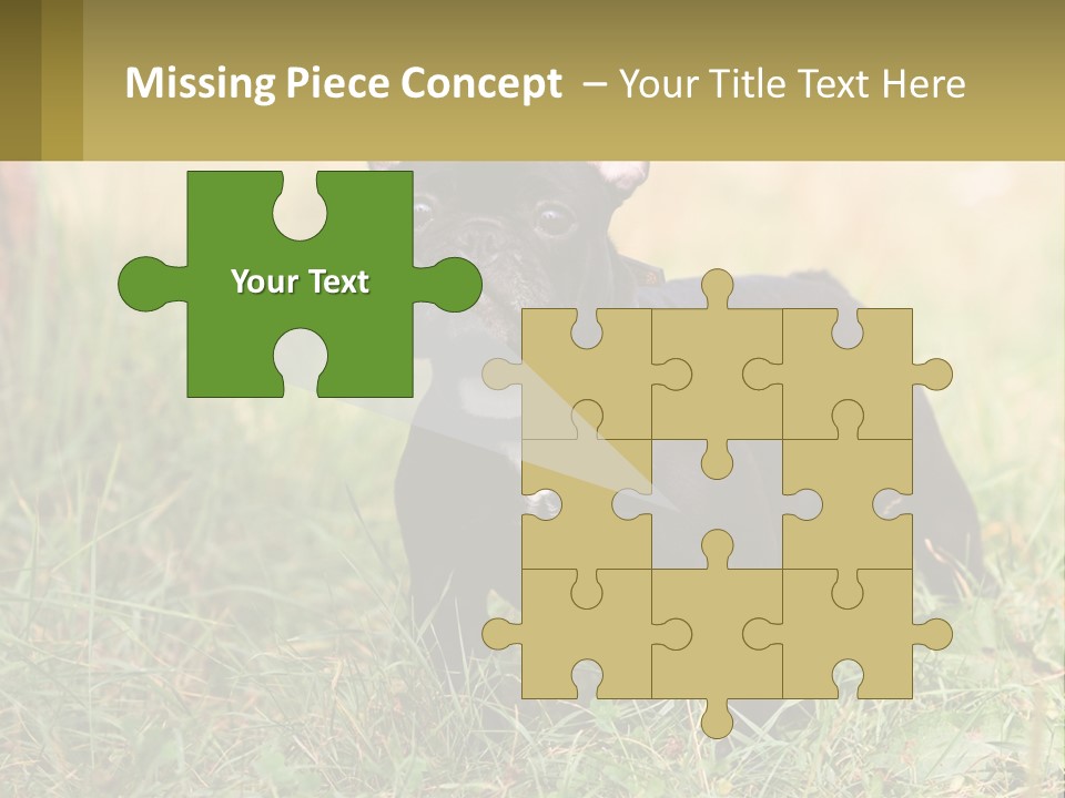 French Cute Purebred PowerPoint Template