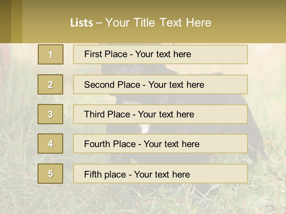 French Cute Purebred PowerPoint Template