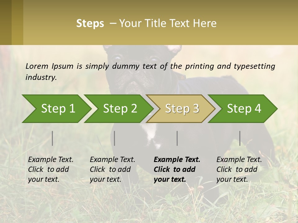 French Cute Purebred PowerPoint Template
