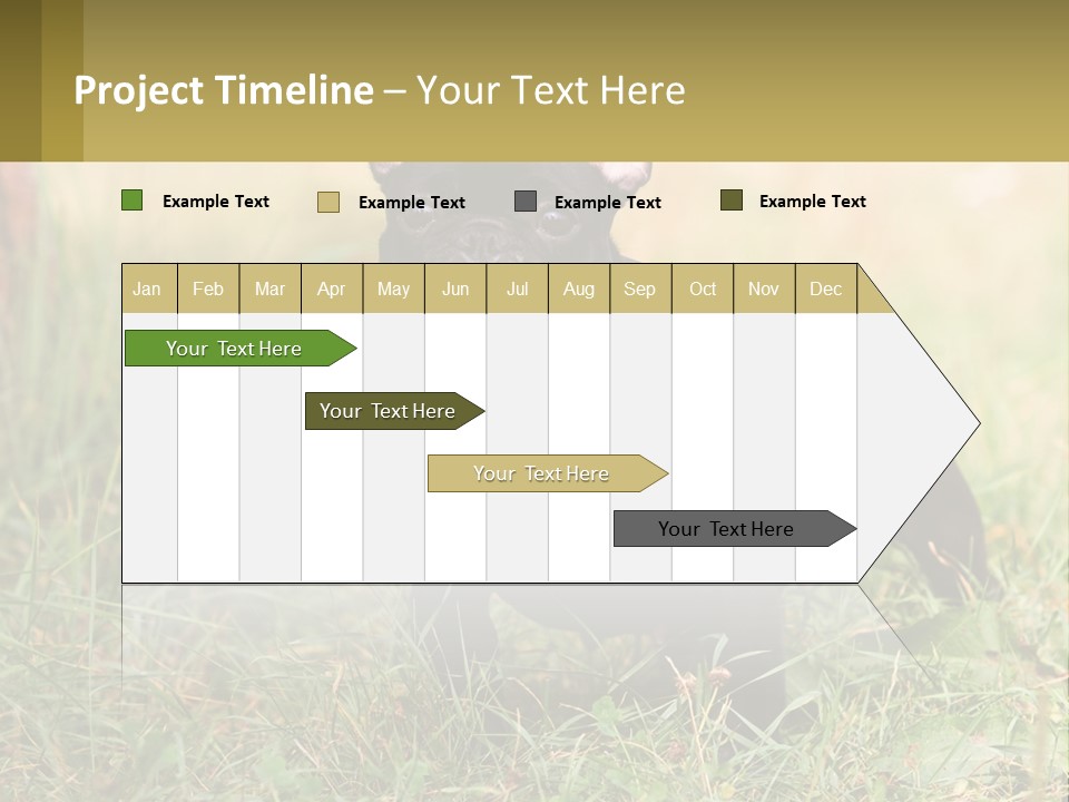 French Cute Purebred PowerPoint Template