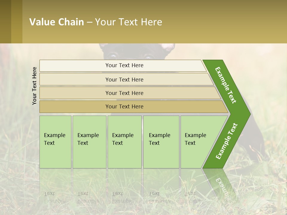 French Cute Purebred PowerPoint Template