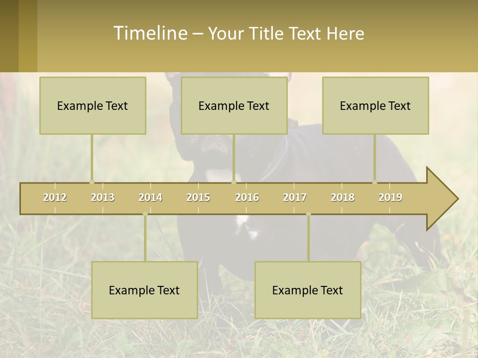 French Cute Purebred PowerPoint Template