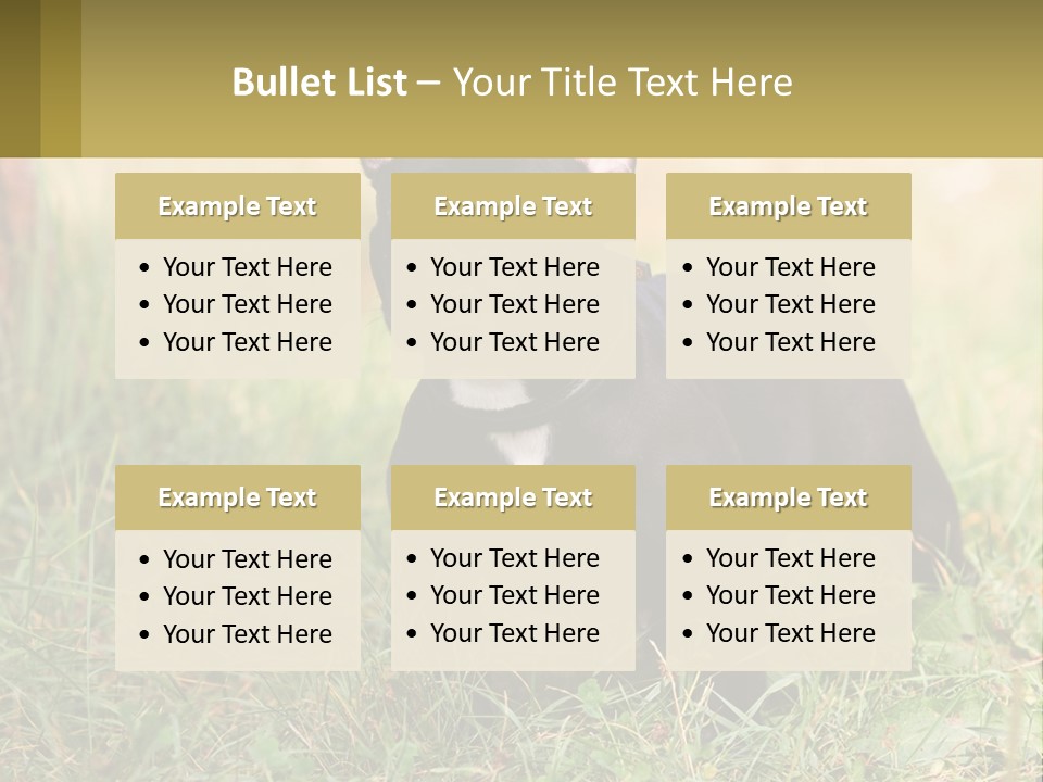 French Cute Purebred PowerPoint Template