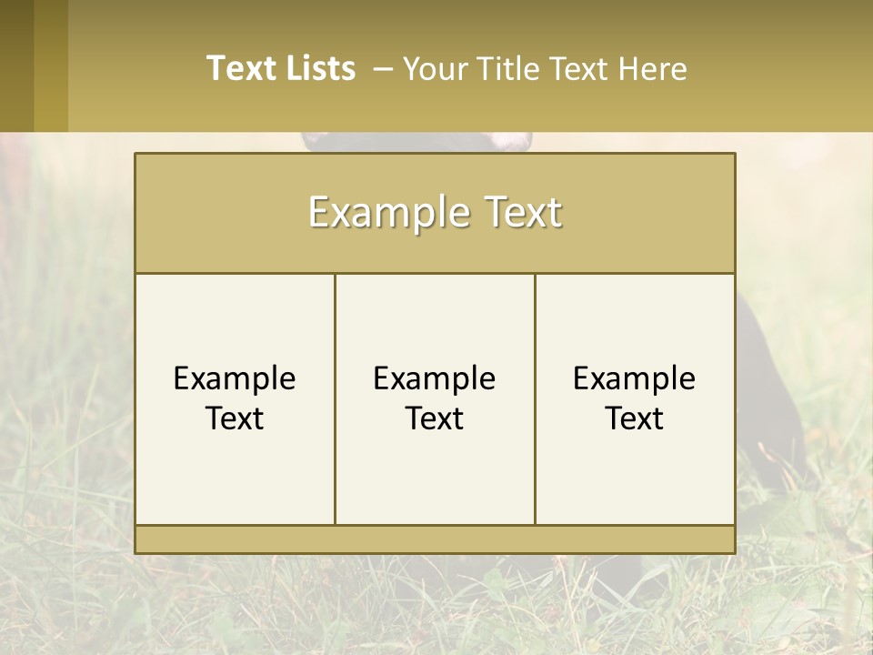 French Cute Purebred PowerPoint Template