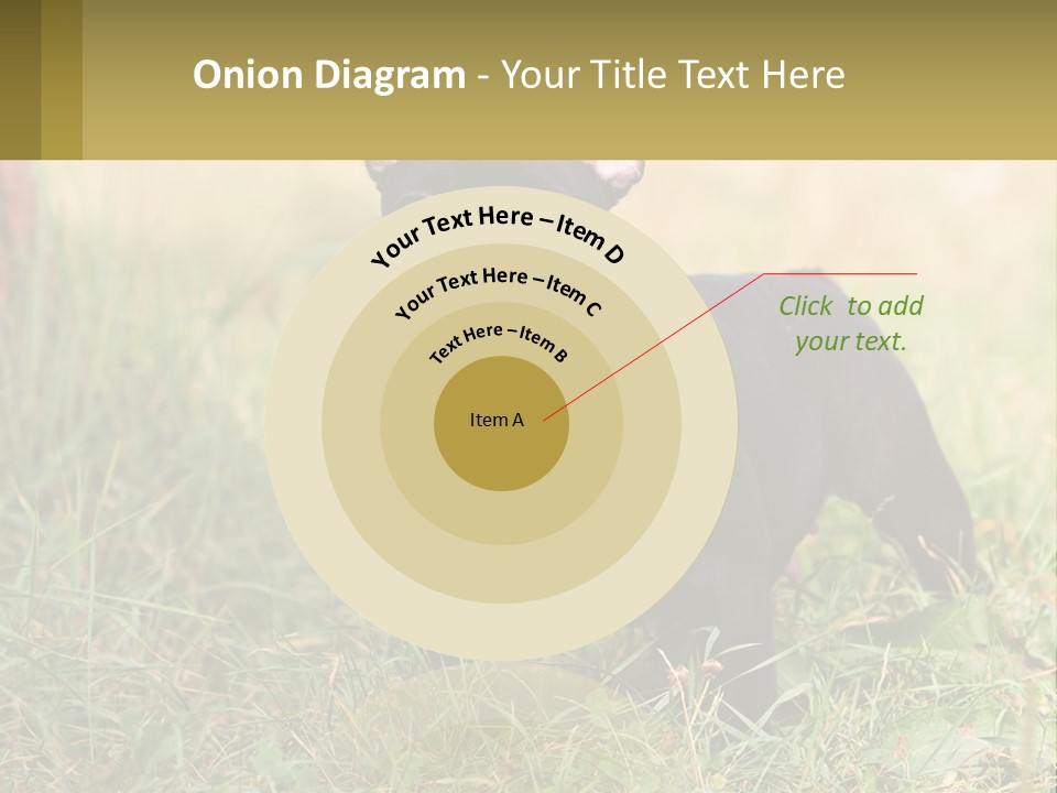 French Cute Purebred PowerPoint Template