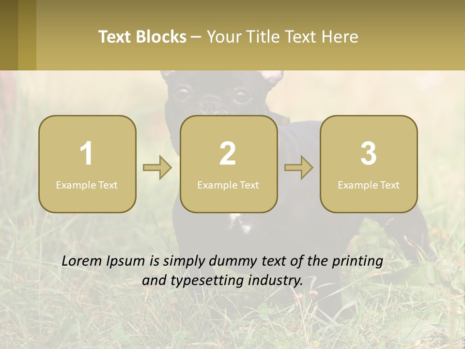 French Cute Purebred PowerPoint Template