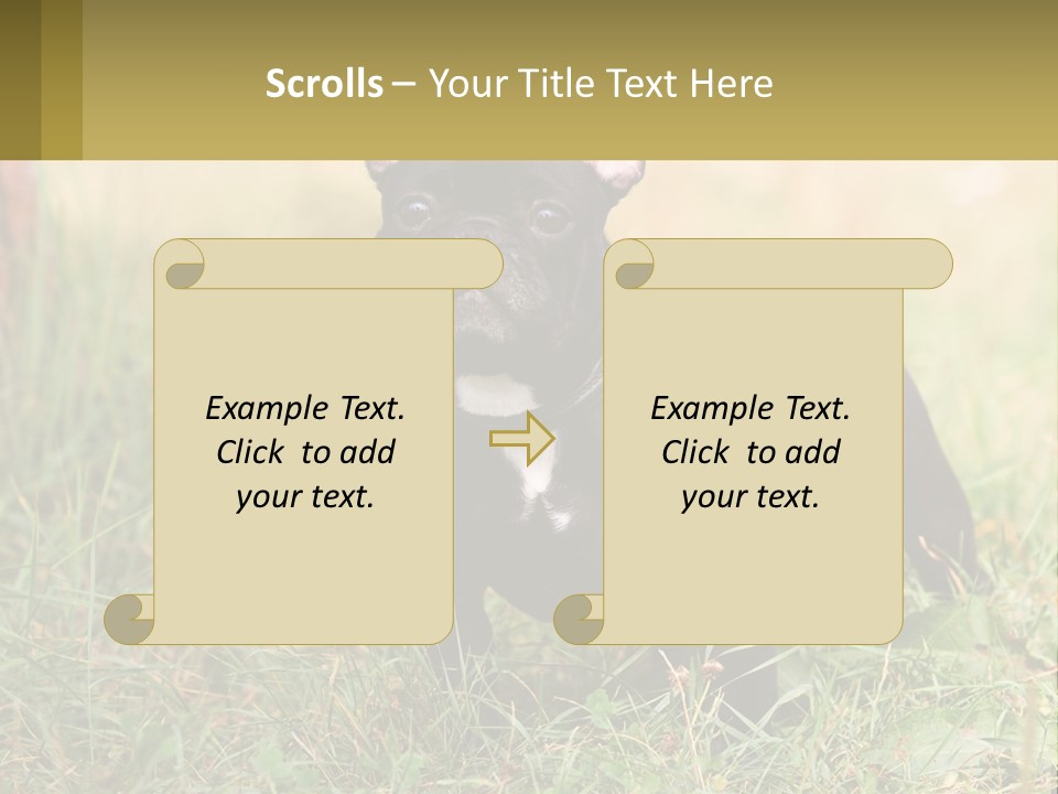 French Cute Purebred PowerPoint Template