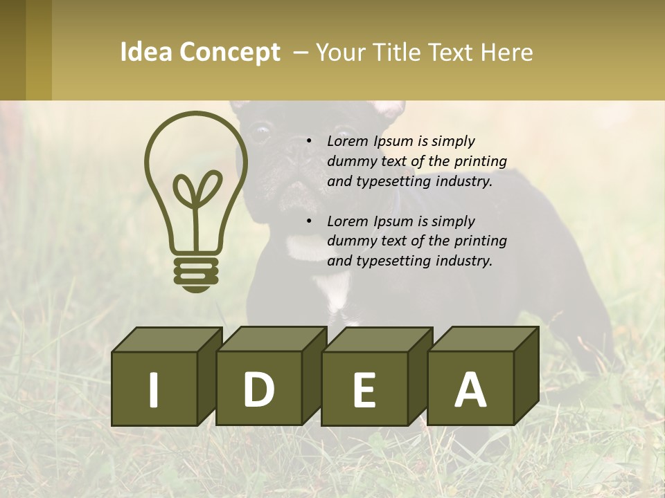 French Cute Purebred PowerPoint Template