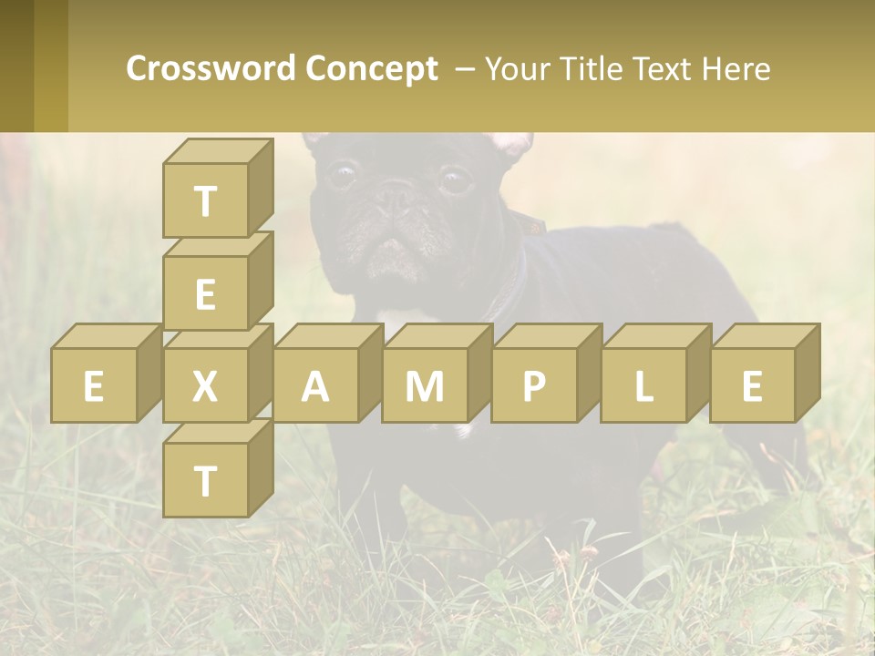 French Cute Purebred PowerPoint Template