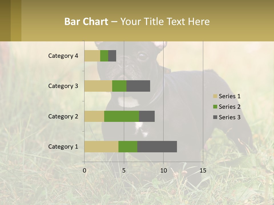 French Cute Purebred PowerPoint Template
