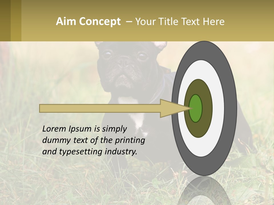 French Cute Purebred PowerPoint Template