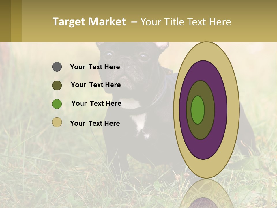 French Cute Purebred PowerPoint Template