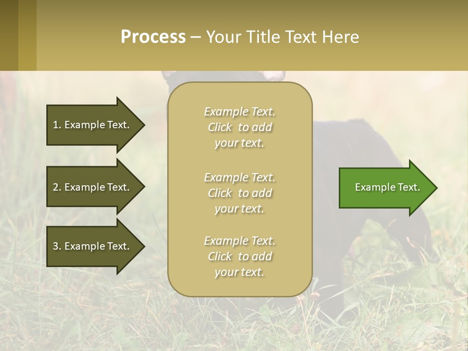 French Cute Purebred PowerPoint Template