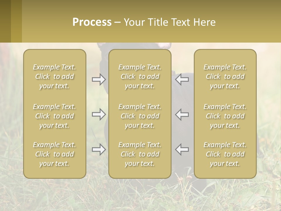 French Cute Purebred PowerPoint Template