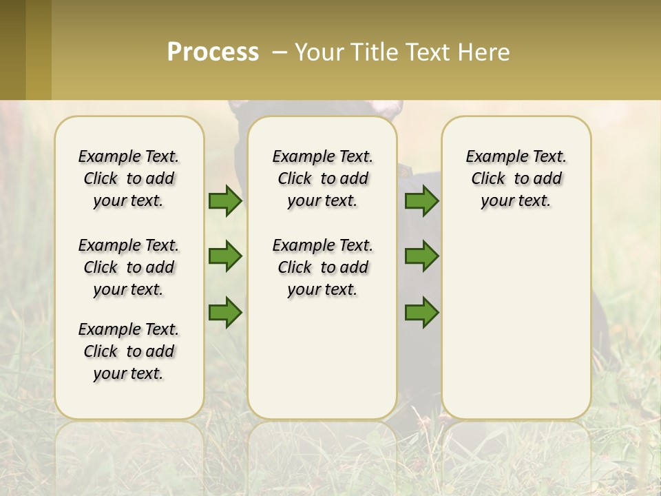 French Cute Purebred PowerPoint Template