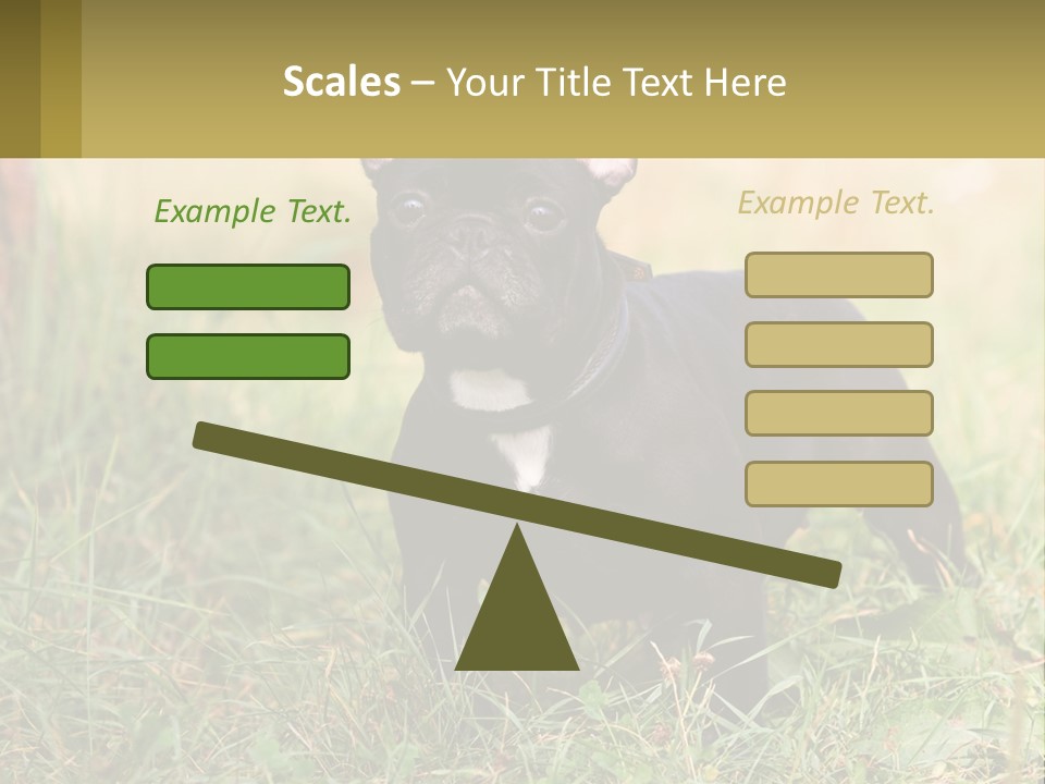 French Cute Purebred PowerPoint Template