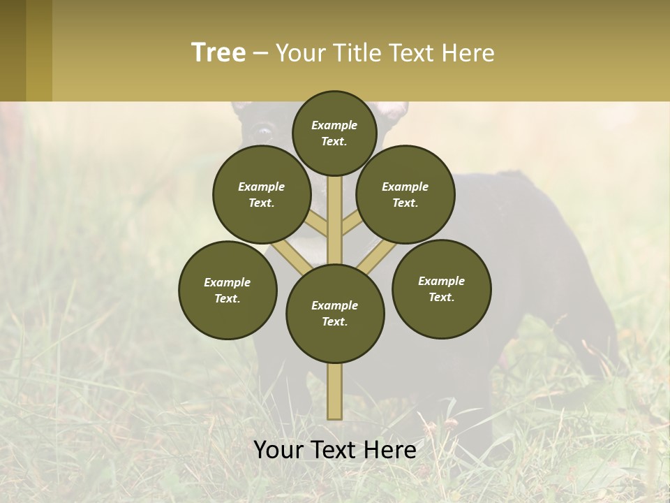 French Cute Purebred PowerPoint Template