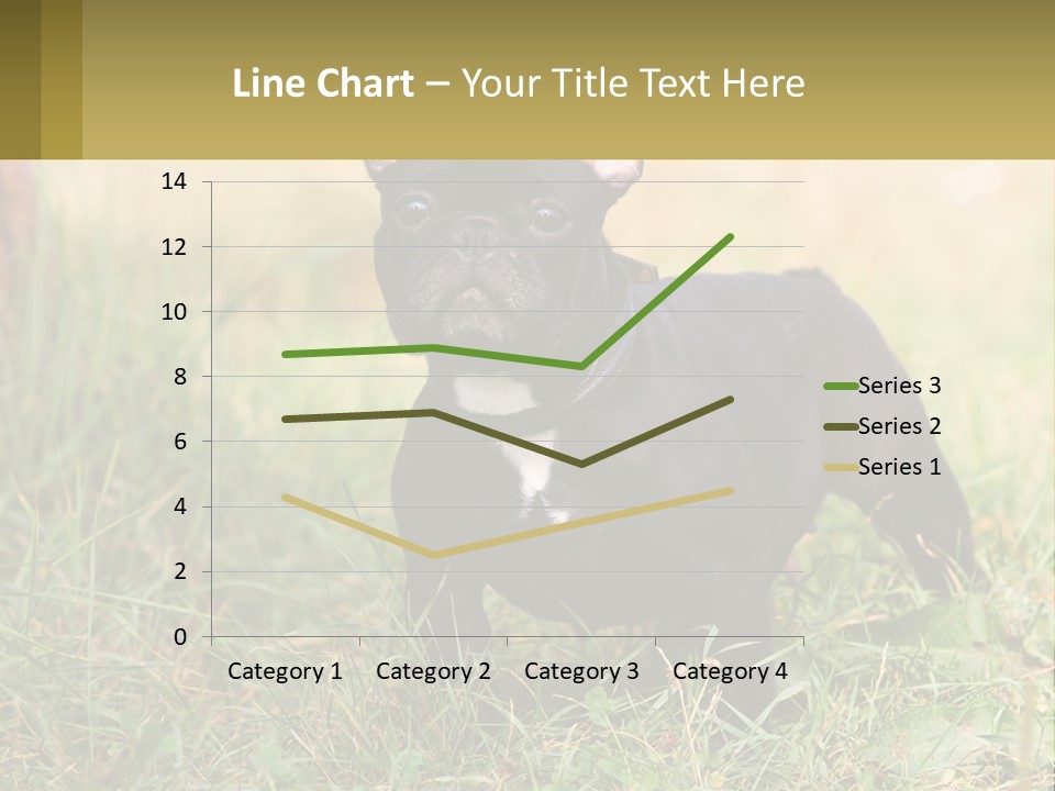 French Cute Purebred PowerPoint Template