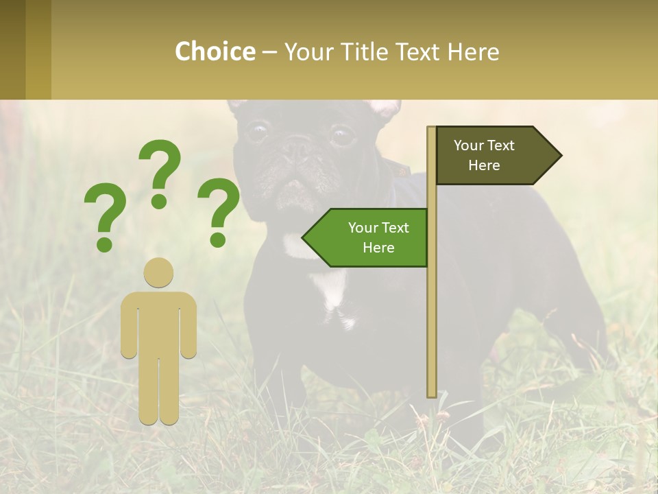 French Cute Purebred PowerPoint Template