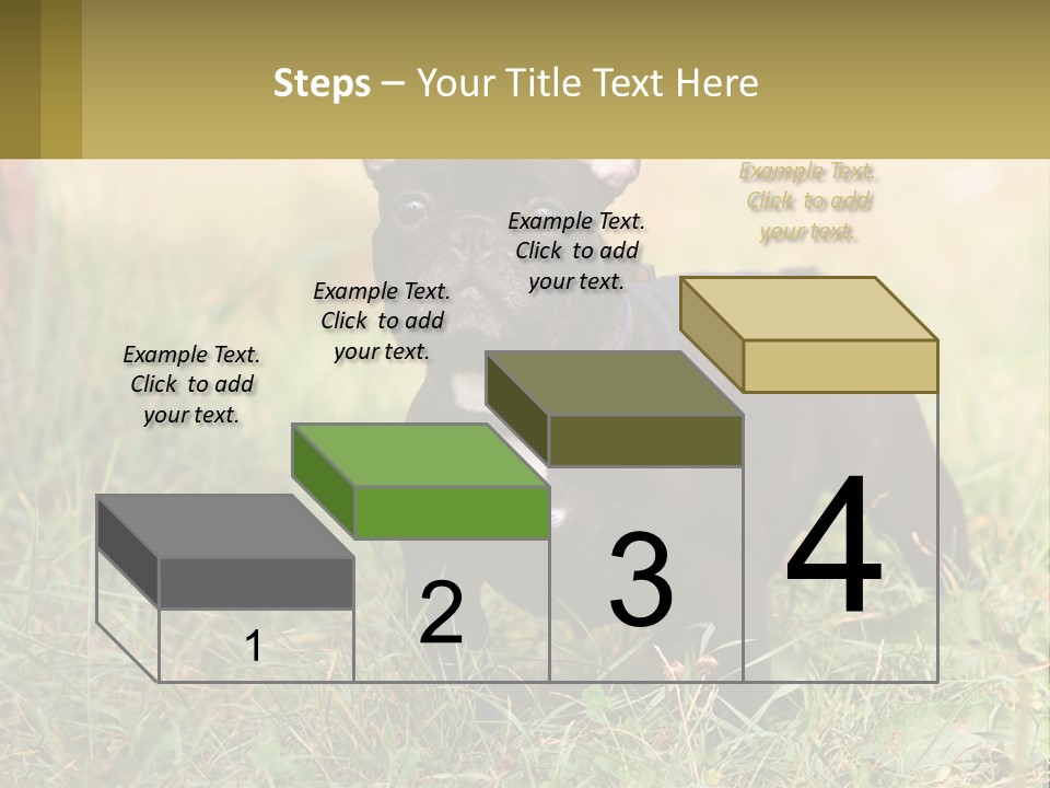 French Cute Purebred PowerPoint Template