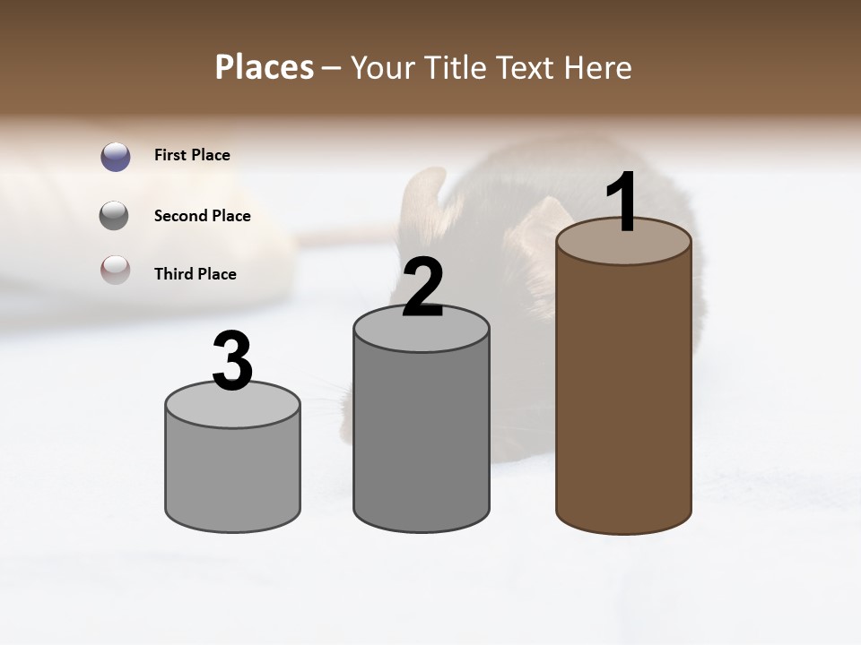 Acoustic Cords Strings PowerPoint Template