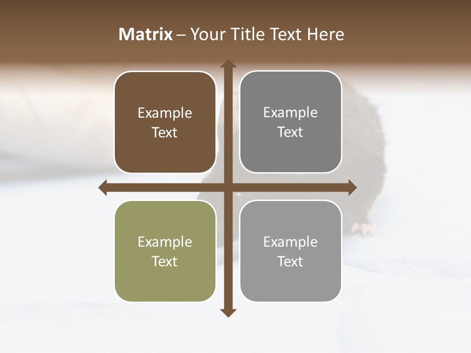 Acoustic Cords Strings PowerPoint Template