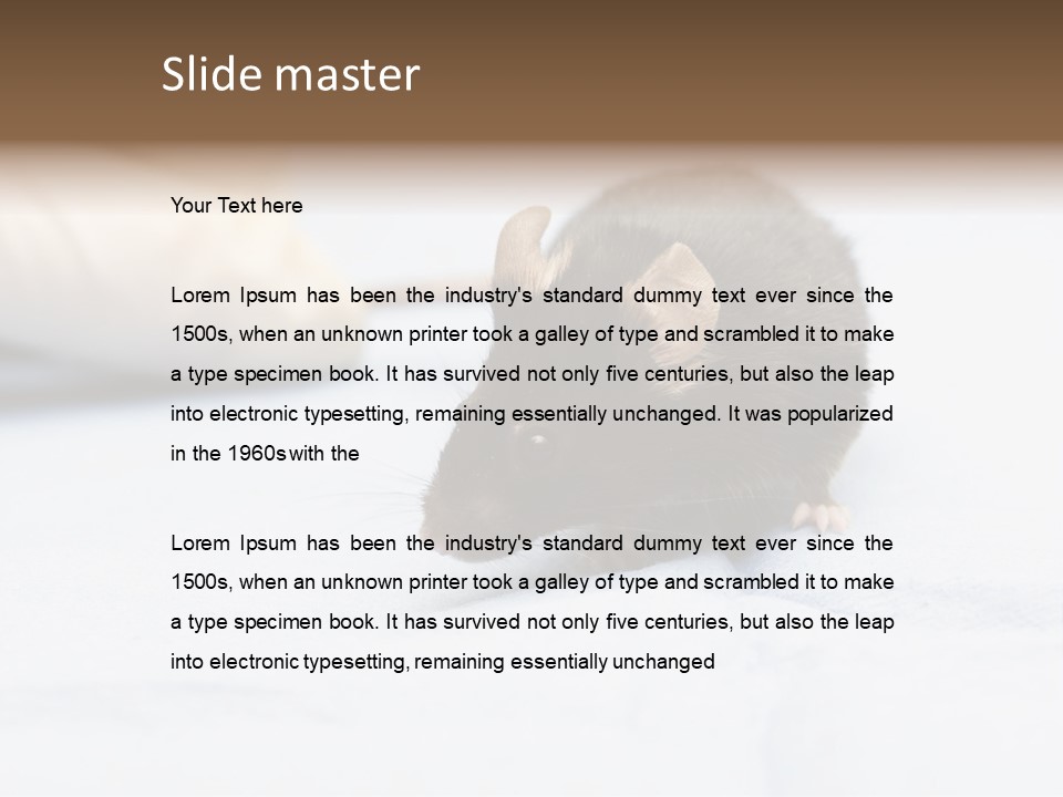 Acoustic Cords Strings PowerPoint Template