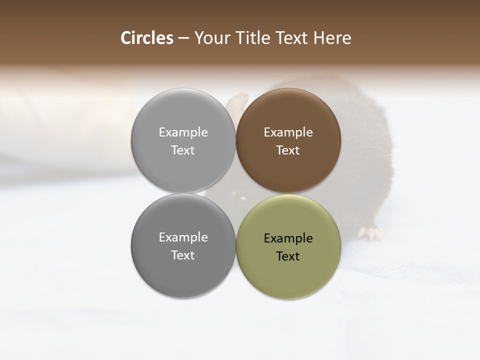 Acoustic Cords Strings PowerPoint Template