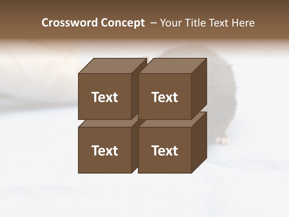 Acoustic Cords Strings PowerPoint Template