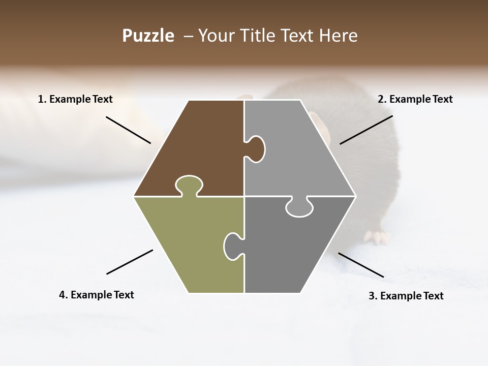 Acoustic Cords Strings PowerPoint Template