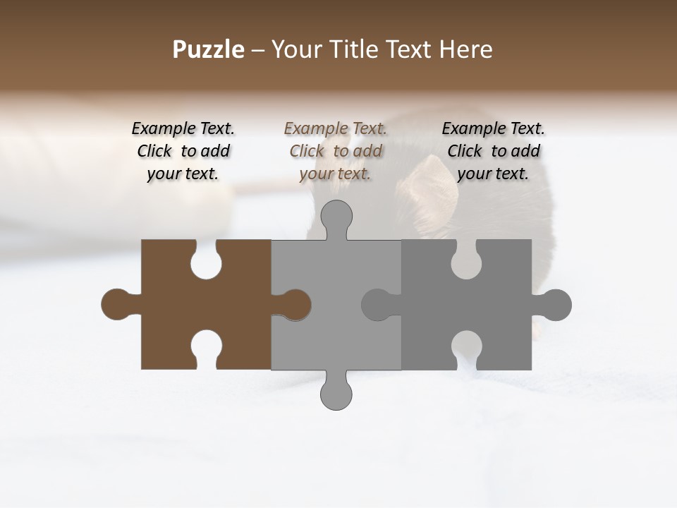 Acoustic Cords Strings PowerPoint Template