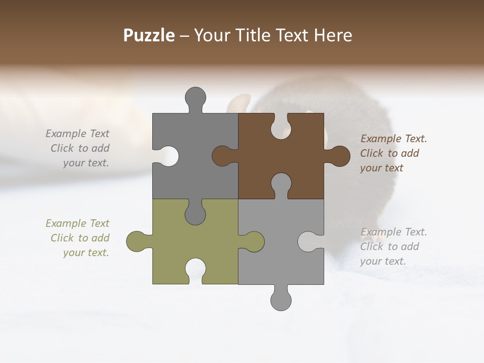 Acoustic Cords Strings PowerPoint Template