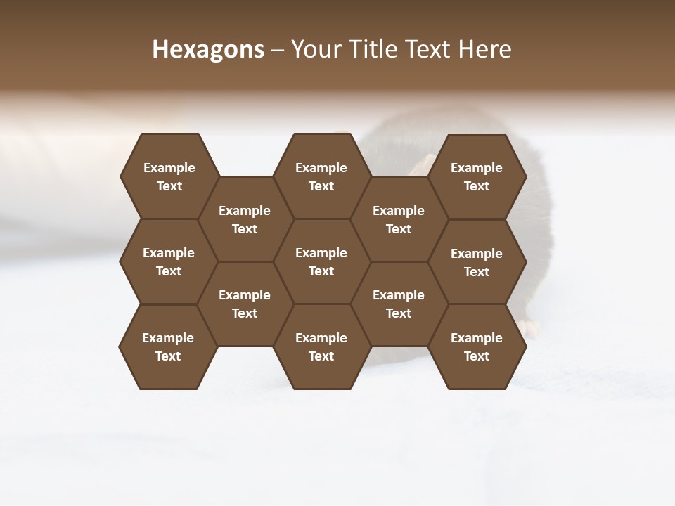 Acoustic Cords Strings PowerPoint Template