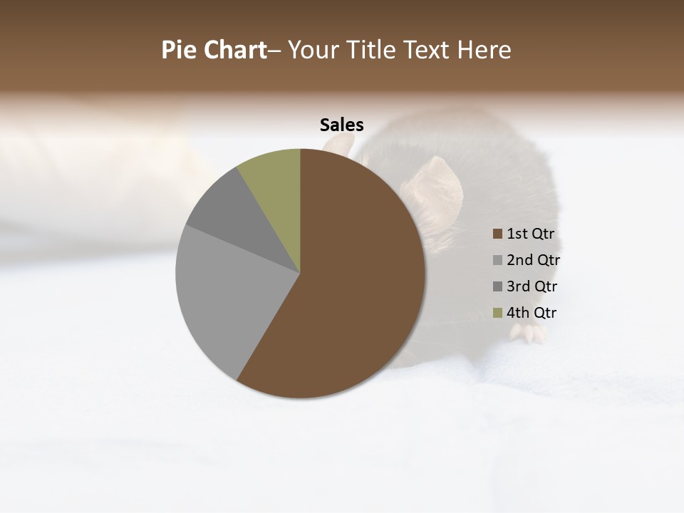 Acoustic Cords Strings PowerPoint Template