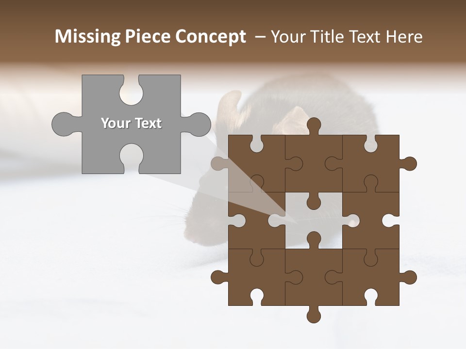 Acoustic Cords Strings PowerPoint Template